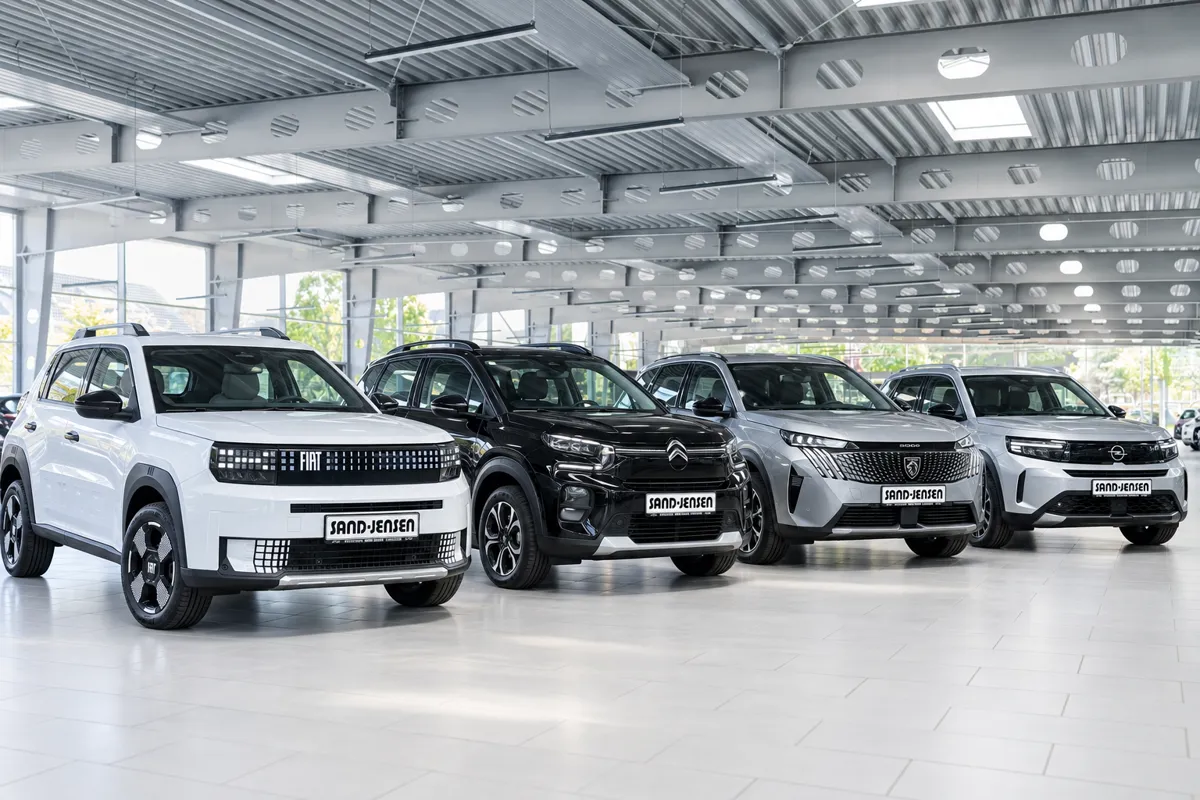 Günstie E Autos Flensburg Kaufen