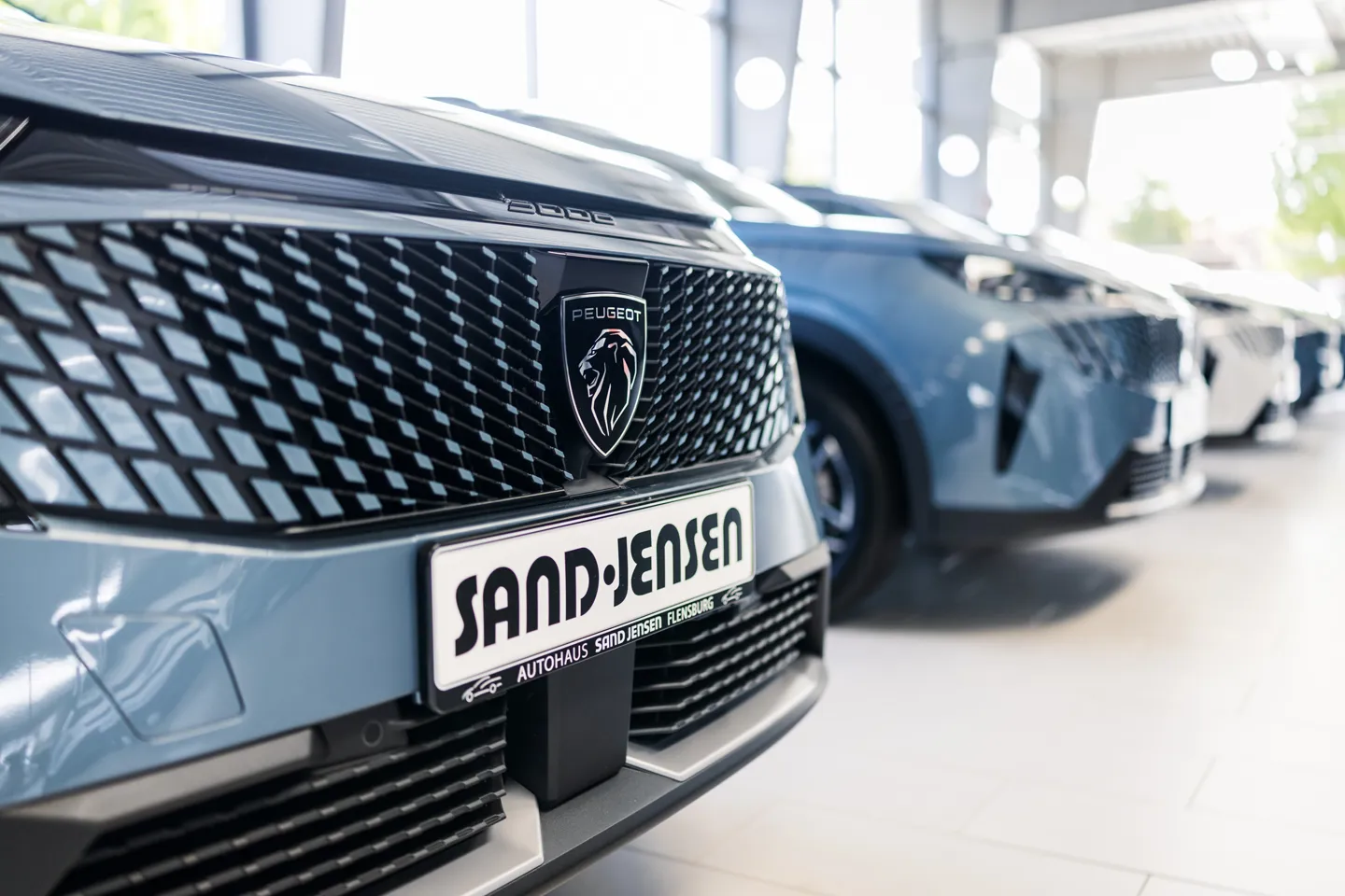 Sandjensen 2478 Web
