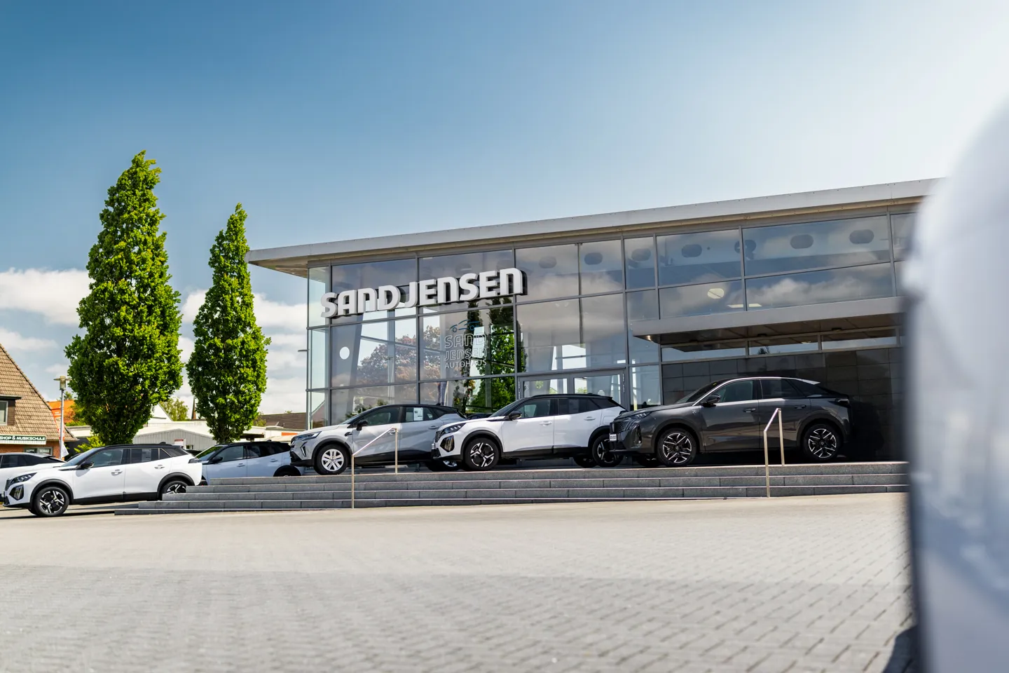 Sandjensen 2901 Web